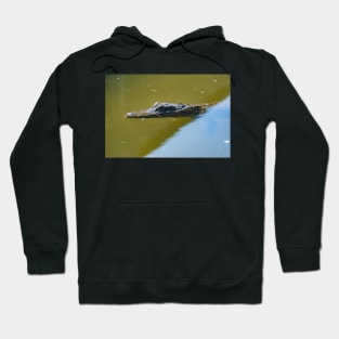 Gatorland alligator Hoodie